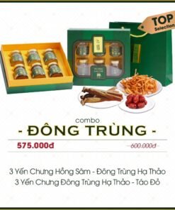 Hộp Quà Yến Chưng Đông Trùng