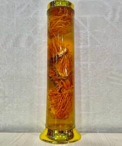 Rượu Đông Trùng Hạ Thảo 1.8 lít