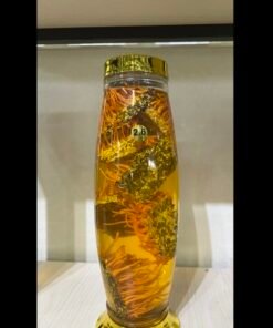 Rượu Đông Trùng Hạ Thảo 2.6 lít